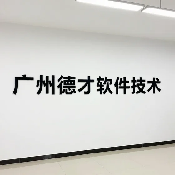 广州德才软件技术行业解析